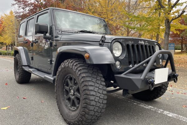 色んな車を乗ってきて、断トツで燃費の悪かった車です